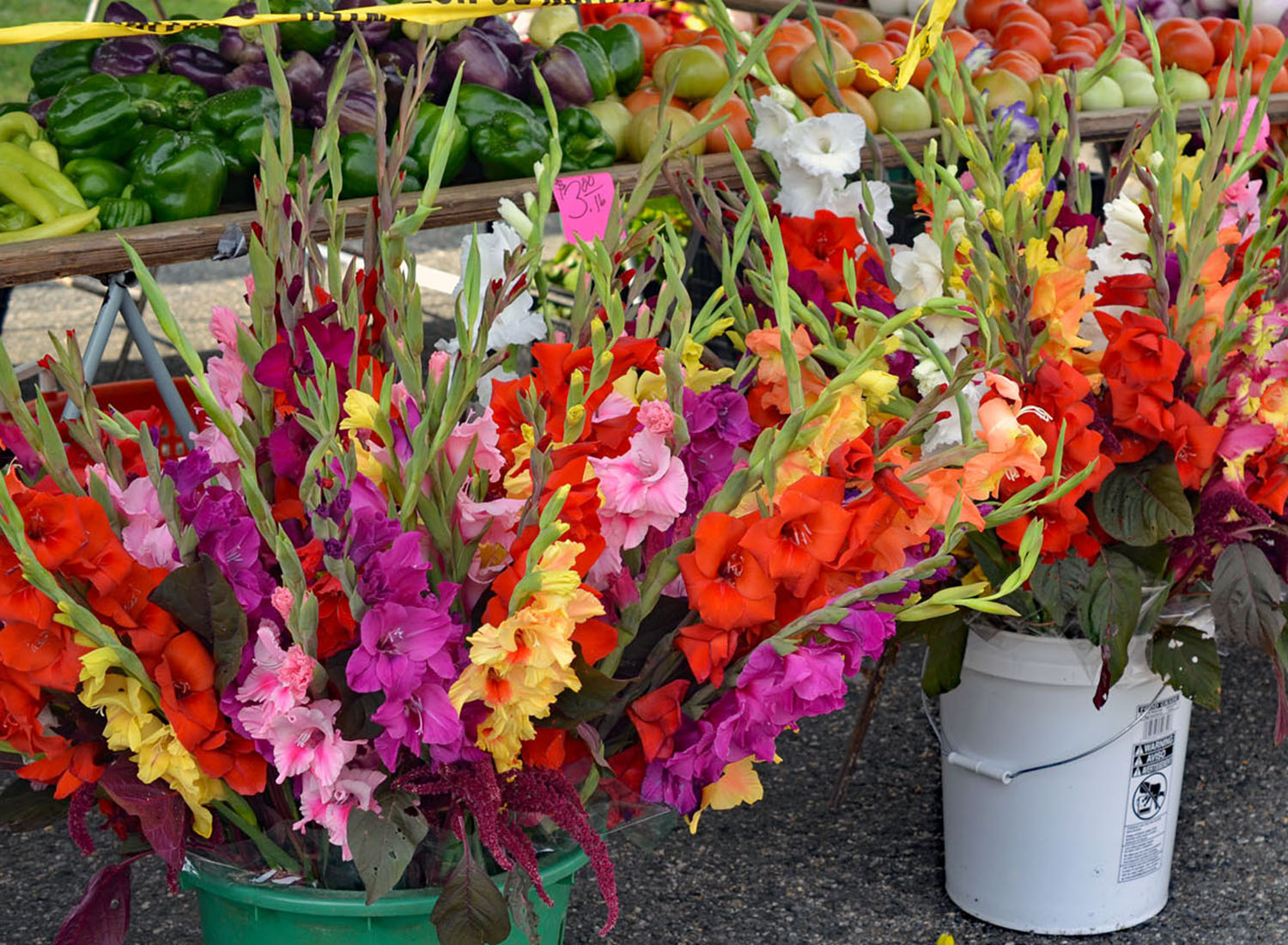 McCutcheon_Mount_Vernon_Farmers_Market