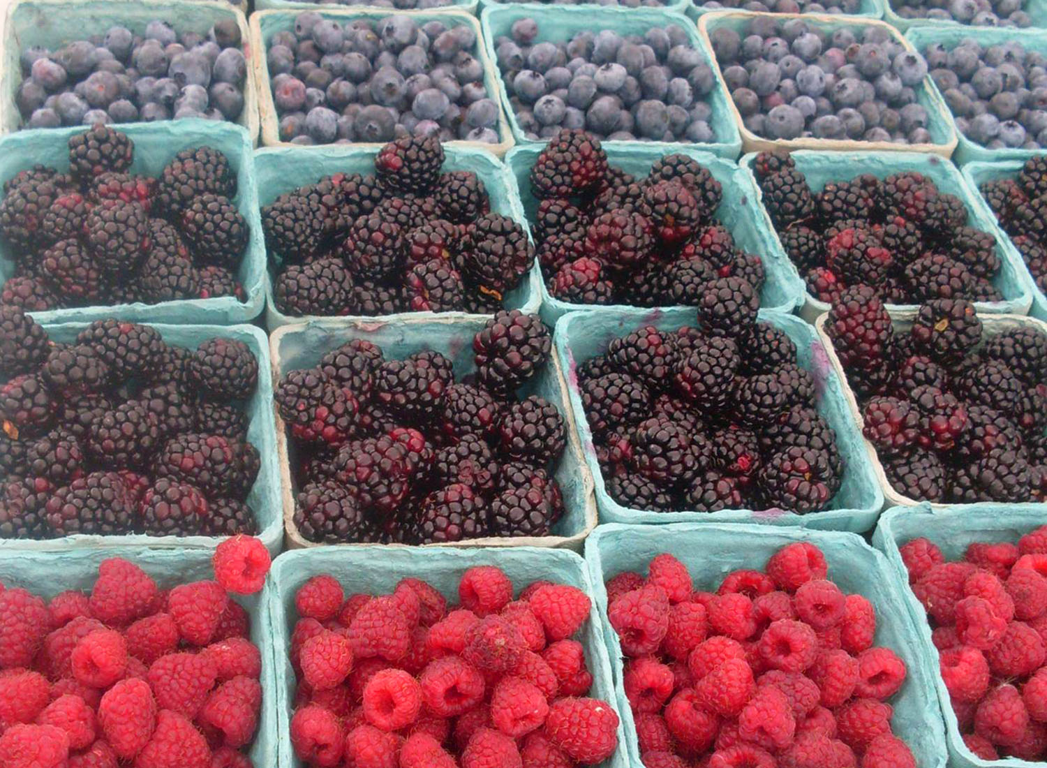 Orchard_Country_Farm_Stand