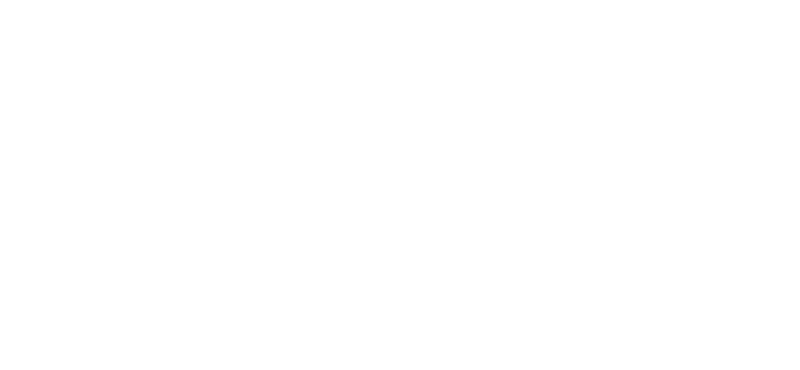 Heidi Burkhardt Logo